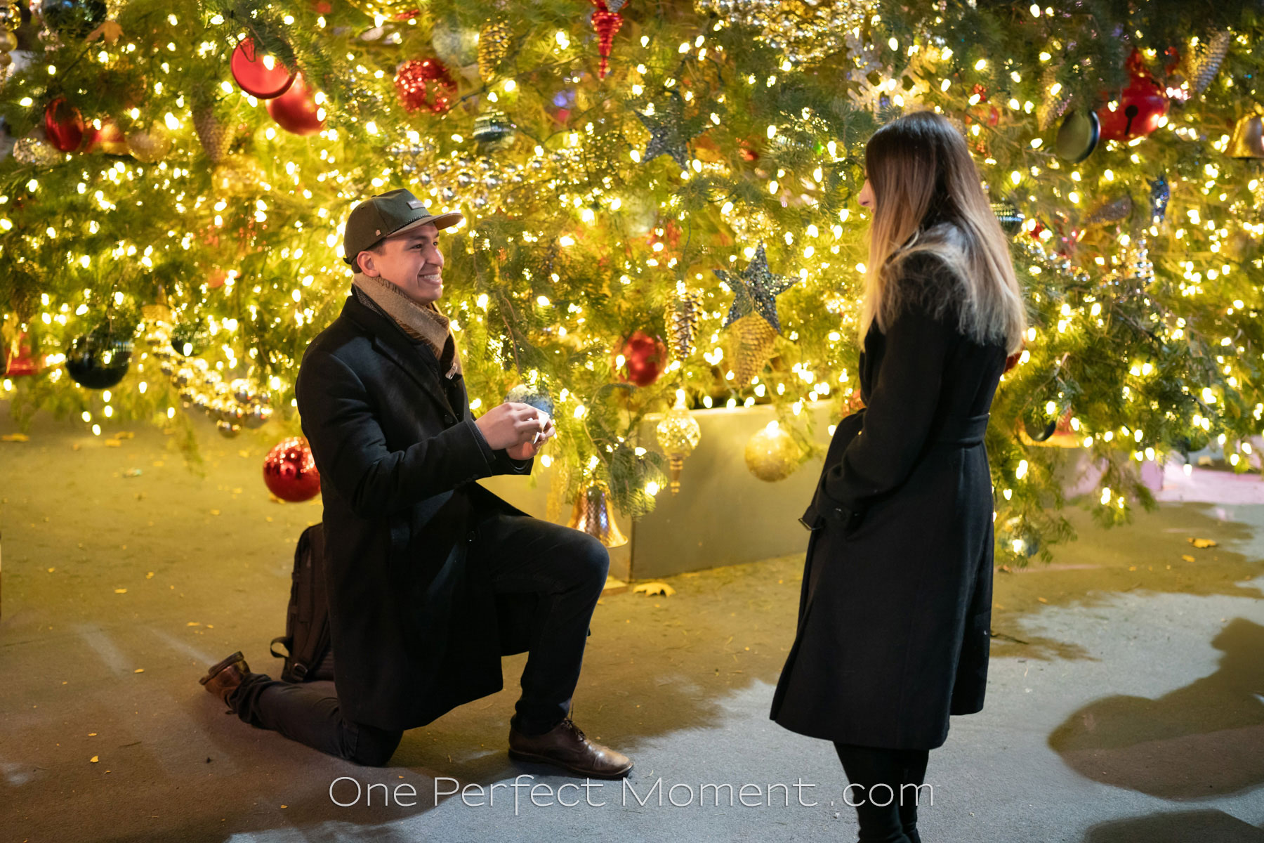 New York NY surprise proposal photography