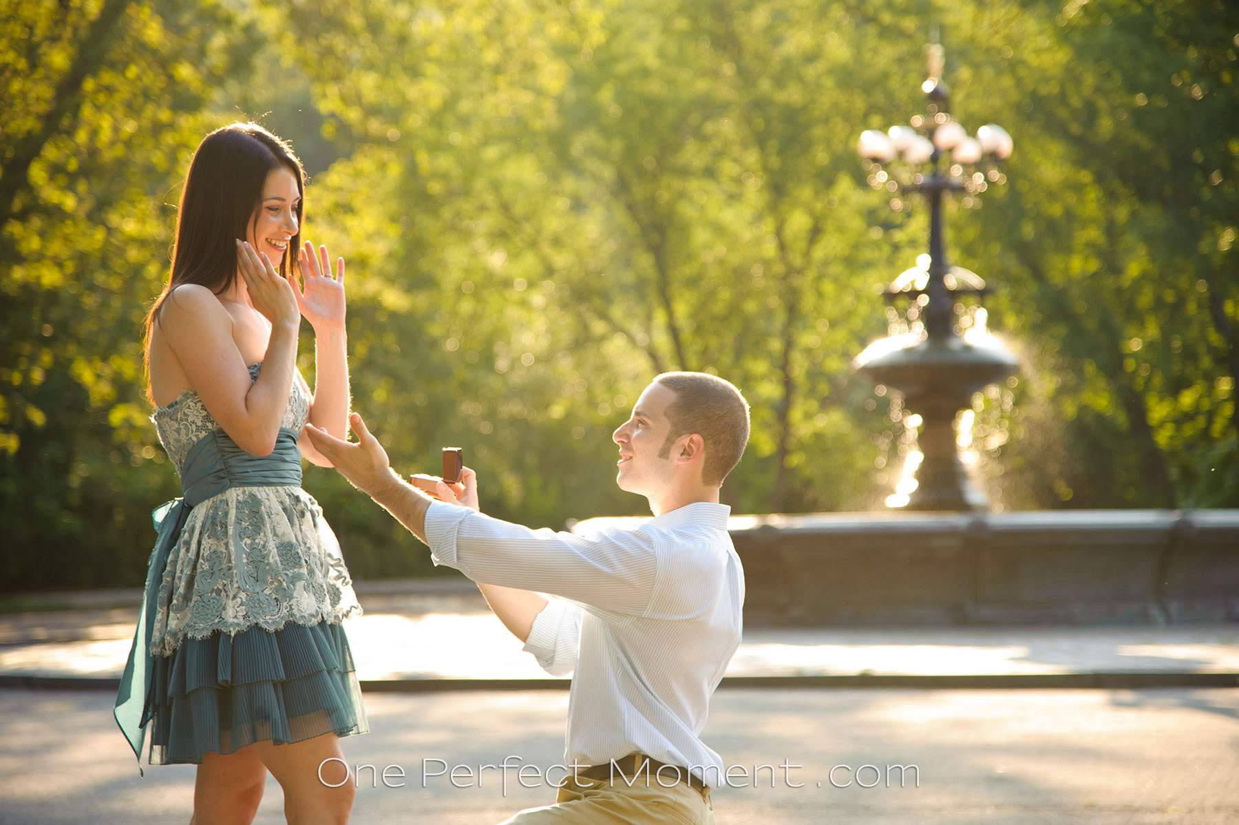 New York photographer proposal photography